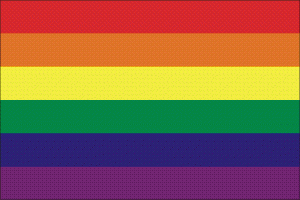 PRIDE LGBT FLAG